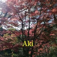 Aki