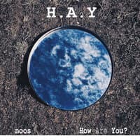 How Are You?(Hay)