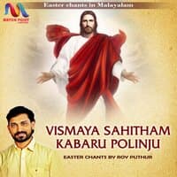 Vismaya Sahitham Kabaru Polinju - Single