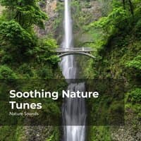 Soothing Nature Tunes