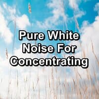 Pure White Noise For Concentrating