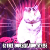 62 Free Yourself from Stress