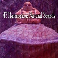 47 Harmonious Natural Sounds