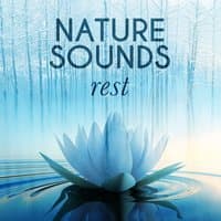 Nature Sounds: Rest