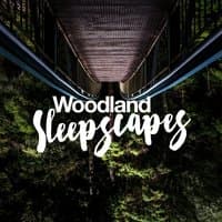 Woodland Sleepscapes