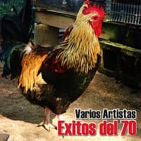 Exitos Del 70