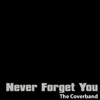 Never Forget You