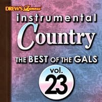 Instrumental Country: The Best of the Gals, Vol. 23