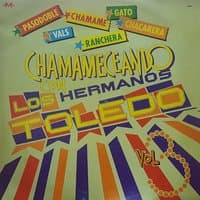 Chamameceando Con los Hermanos Toledo, Vol. 3