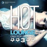 Hot Lounge, Only for Gourmets, Vol.3