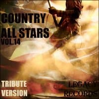 Country Allstars Vol. 14