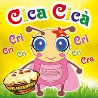 Cica Cicà