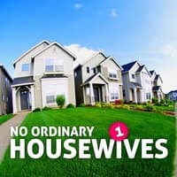 No Ordinary Housewives Vol. 1