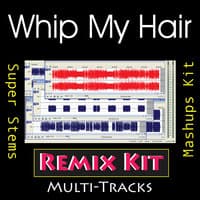 Whip My Hair (Multi Tracks Tribute to Willow)