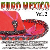 Puro Mexico Vol. 2