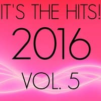 It's The Hits! 2016, Vol. 5