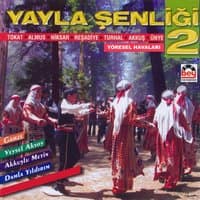 Yayla Şenliği, Vol. 2