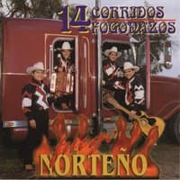 14 Corridos Fogonazos