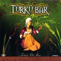 Türkü Bar, Vol. 2