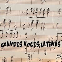 Grandes Voces Latinas Vol. 5