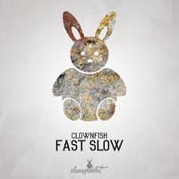 Fast Slow