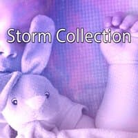 Storm Collection