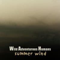 Summer Wind