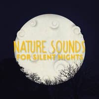 Nature Sounds for Silent Nights