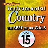 Instrumental Country: The Best of the Gals, Vol. 15