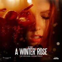 A Winter Rose