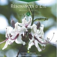 Emeraude:  résonances d'été