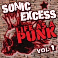 Sonic Excess: Life as a Punk, Vol. 1