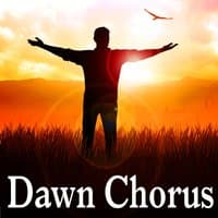 Dawn Chorus