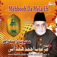 Mehboob da Mela Eh, Vol. 5 - Live Mehfil