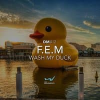 Wash My Duck