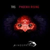 Phoenix Rising