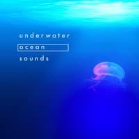 Underwater Ocean Sounds