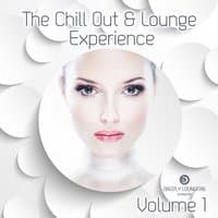 The Chill Out & Lounge Experience, Vol. 1