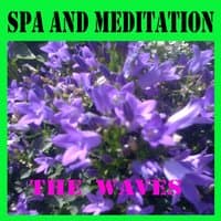 Spa and Meditation