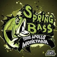 Spring Bass