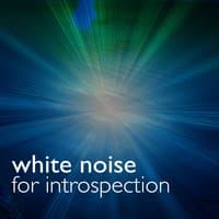 White Noise for Introspection