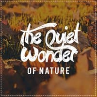 The Quiet Wonder of Nature