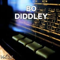 H.o.t.S Presents : The Very Best of Bo Diddley, Vol.2