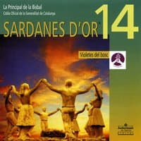 Sardanes d'Or - 14