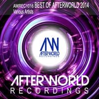 The Best of Afterworld 2014