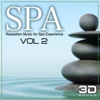 SPA 3D Relaxation Music Experience, Vol. 2