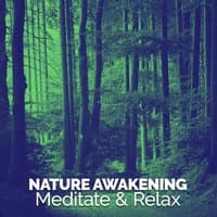 Nature Awakening: Meditate & Relax