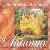 Suoni della natura: Autunno