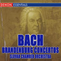 Bach: The Complete Brandenburg Concertos