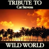 Wild World: Tribute to Cat Stevens